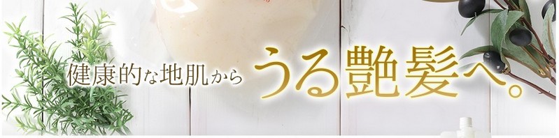 nɗDI[CVv[ȂVALANROSEN[Vv[TCg